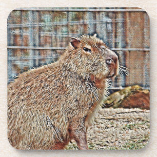 SmartMix Animal- Capybara Coaster