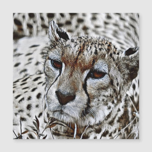 SmartMix Animal- Cheetah 2