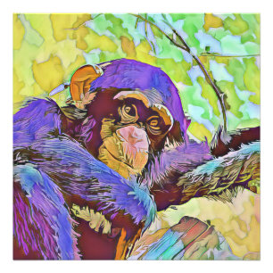 smartmix animal - chimpanzee 3 photo print