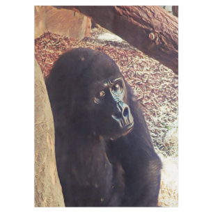 SmartMix Animal-Gorilla Tablecloth