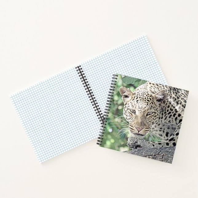 smartmix animal-leopard 2 notebook (Inside)