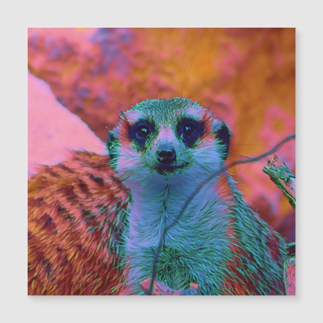 SmartMix Animal- Meerkat 5 (Front)