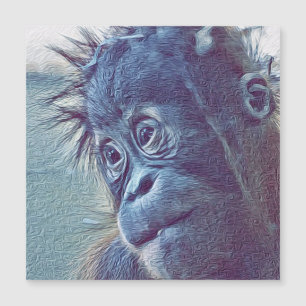 smartmix animal- orang baby