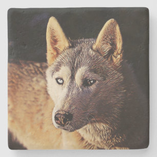 smartmix animal- wolf stone coaster