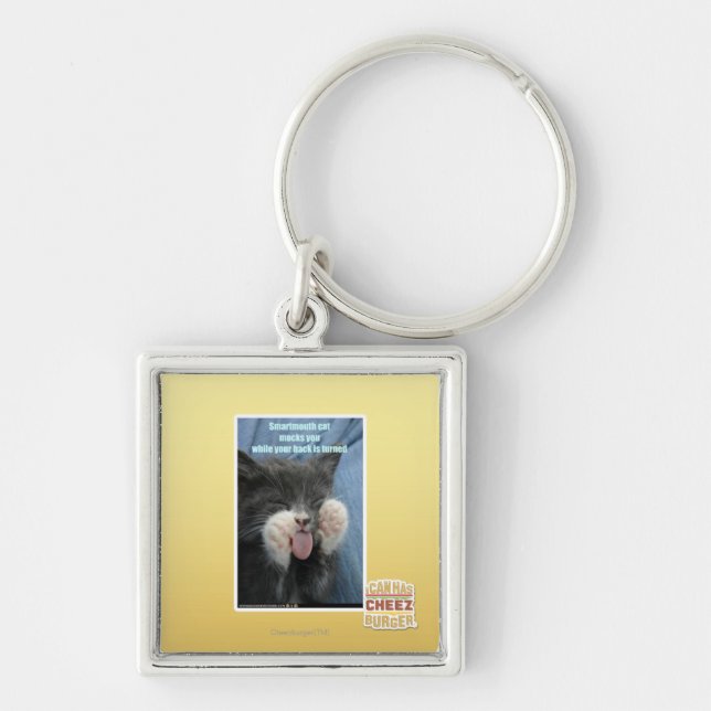 Smartmouth cat keychain (Front)