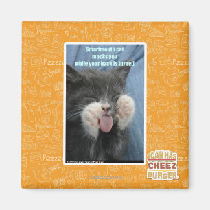 Smartmouth cat magnet