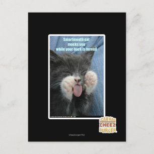 Smartmouth cat postcard