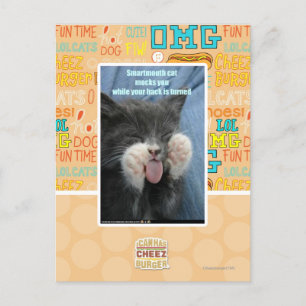 Smartmouth cat postcard