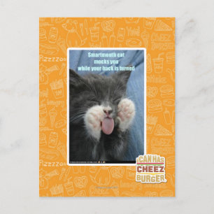 Smartmouth cat postcard