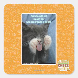 Smartmouth cat square sticker