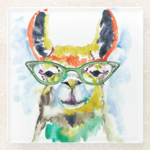 Smarty-Pants Llama Glass Coaster