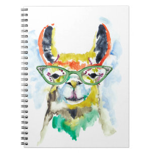 Smarty-Pants Llama Notebook