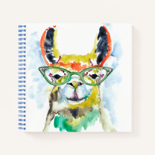 Smarty-Pants Llama Notebook