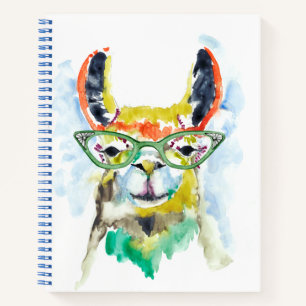 Smarty-Pants Llama Notebook