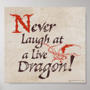 SMAUG™ - Never Laugh At A Live Dragon Poster