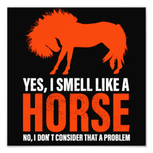 Smell Like A Horse in Tangerine     Photo Print