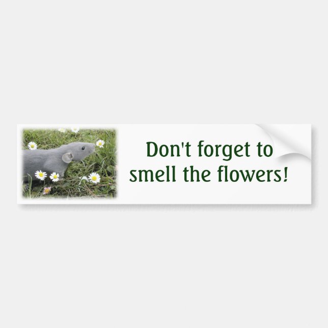 Smell the Flowers Bumper Sticker (Front)