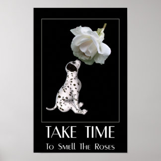 Smell The Roses Dalmatian Puppy Inspirational Poster