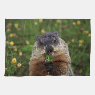 Smelling Spring Groundhog Kitchen Towel