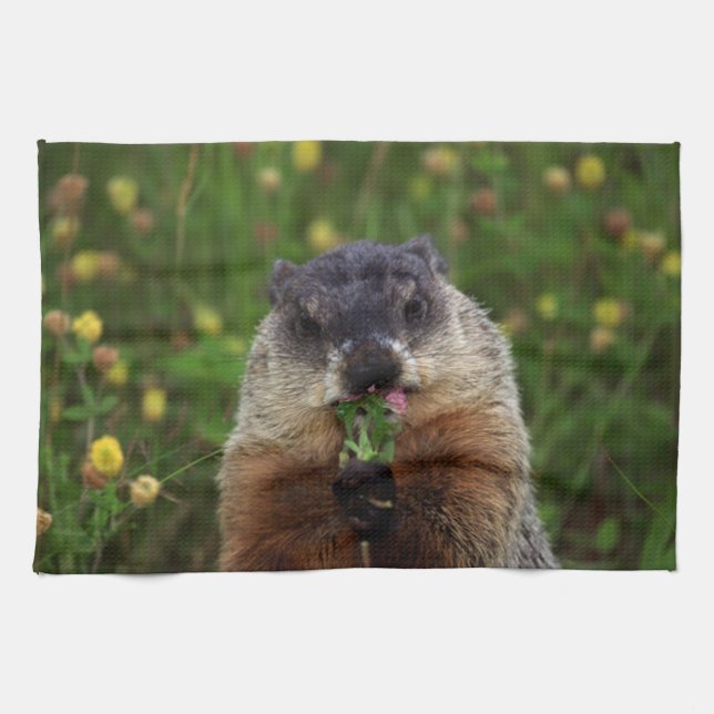 Smelling Spring Groundhog Kitchen Towel (Horizontal)