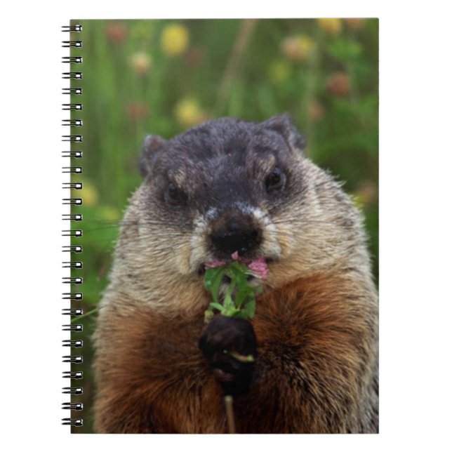 Smelling Spring Groundhog Notebook (Front)