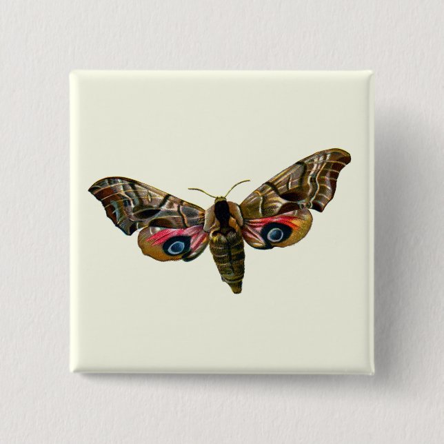 Smerinthus ocellata - Eyed Hawk-Moth - Colour Imag 2 Inch Square Button (Front)
