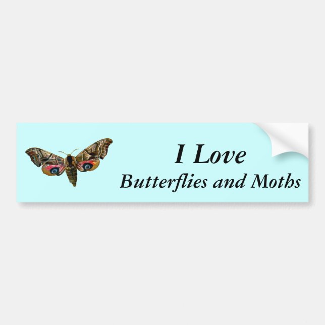 Smerinthus ocellata - Eyed Hawk-Moth - Colour Imag Bumper Sticker (Front)