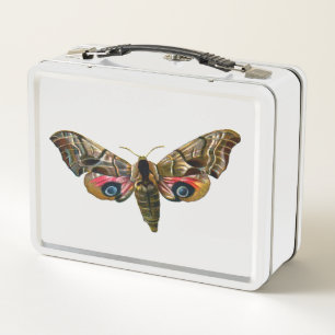 Smerinthus ocellata - Eyed Hawk-Moth - Colour Imag Metal Lunch Box