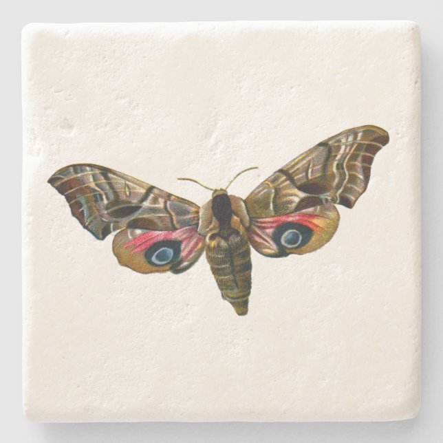 Smerinthus ocellata - Eyed Hawk-Moth - Colour Imag Stone Coaster (Front)