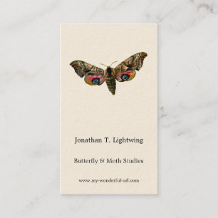 Smerinthus ocellata - Eyed Hawk-Moth Colour Image Business Card