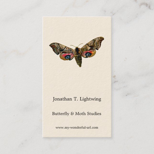 Smerinthus ocellata - Eyed Hawk-Moth Colour Image  Business Card (Front)