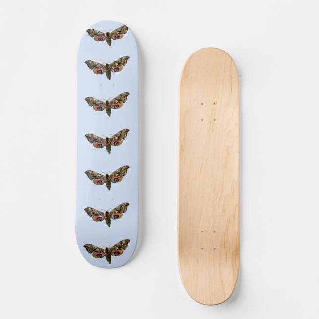 Smerinthus ocellata - Eyed Hawk-Moth Colour Image Skateboard (Front)