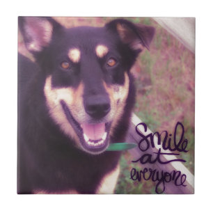 Smile at Everyone Dog Tile