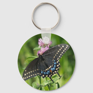 smile butterfly, Photo by: TEYoung Keychain