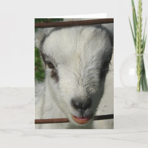 Smile Card