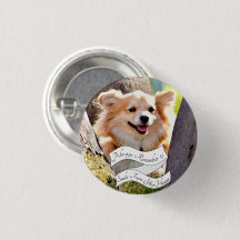 Smile Dog