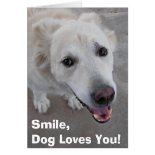 Smile, Dog Loves You! Card