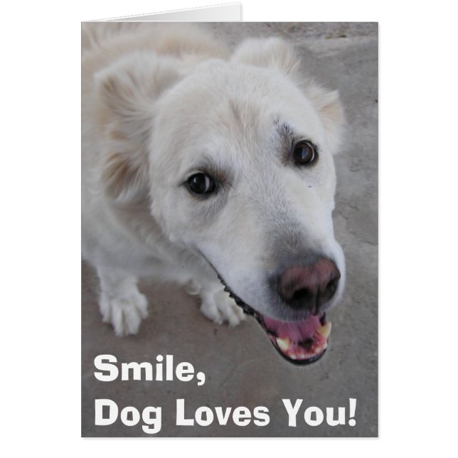 Smile, Dog Loves You! Card (Front)