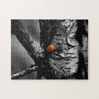 smile for a ladybug jigsaw puzzle