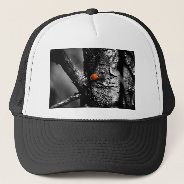 smile for a ladybug trucker hat (Front)