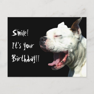 Smile it's your birthday White Boxer dog postcard