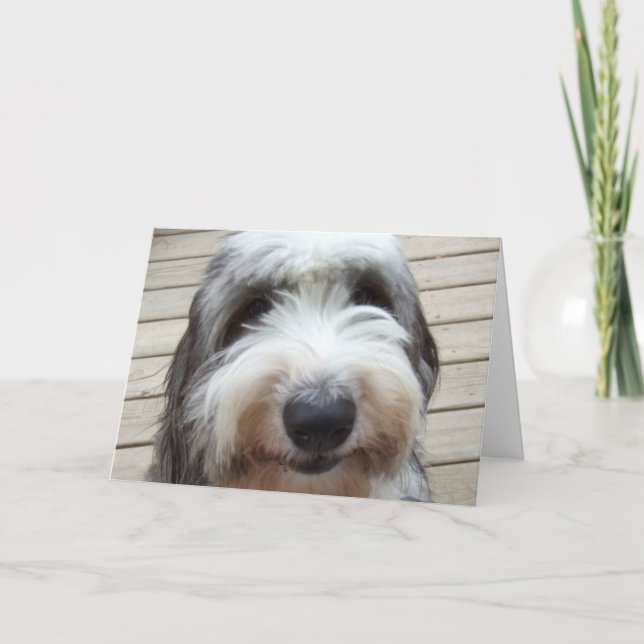 Smile Old English Sheepdog Card (Front)