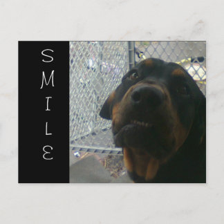 SMILE POSTCARD