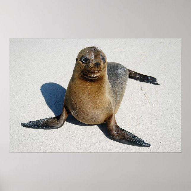 Smile Poster (Front)