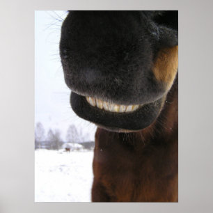 Smile Poster