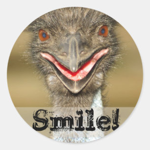 Smile Sticker
