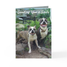 Smile Thinking of you Miss you Card