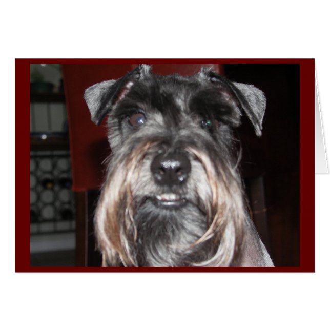 SMILE with Me! (Front Horizontal)