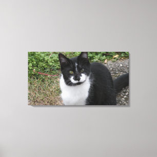 Smiler Charity Canvas Print