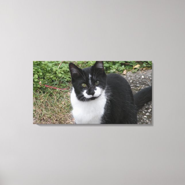 Smiler Charity  Canvas Print (Front)